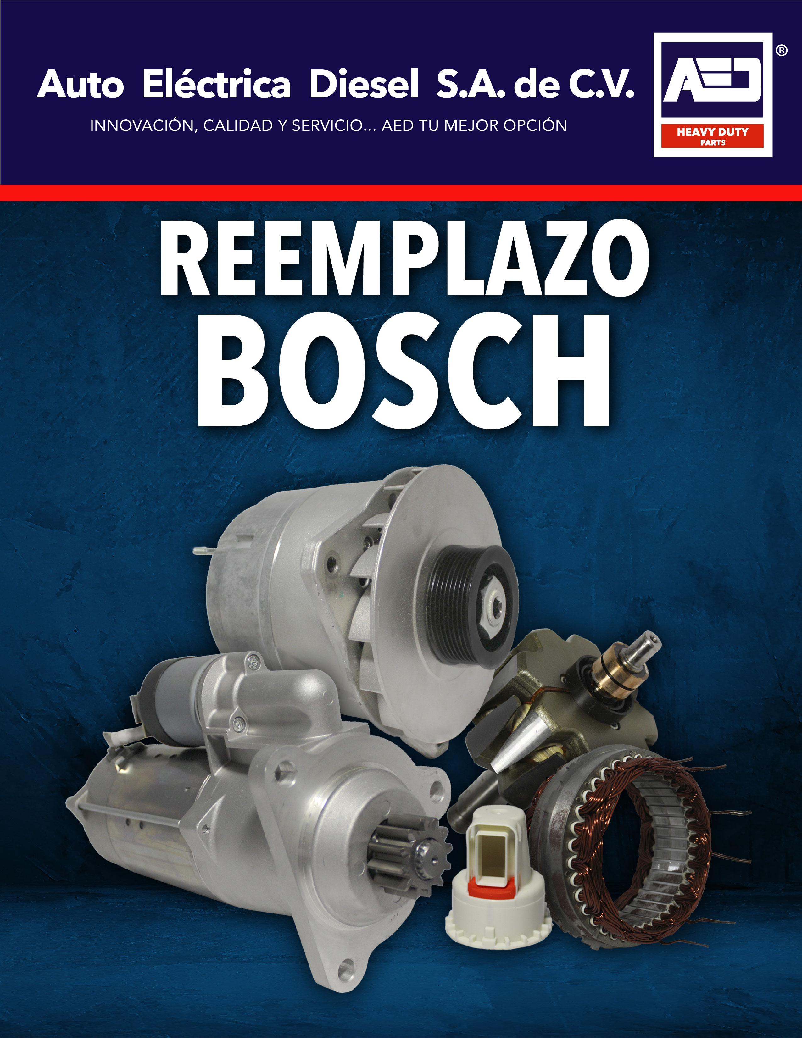 Reemplazo Bosch